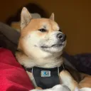 guruu_g
