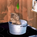 awildjulian#4122's avatar