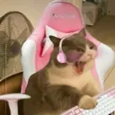 laccyb