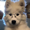 avatar ★ PRINCESS ALEX ❤