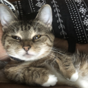 avatar ༺♔Nero♔༻