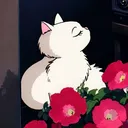 dollyasorbet