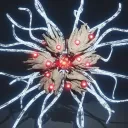 draktoo avatar
