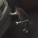 aaa._