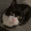 tuxman