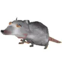 adjoneses