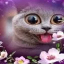 tuna4caroline