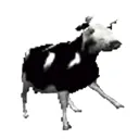 uwemischlimam