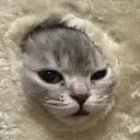 tem_7355