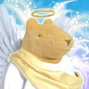 coinduck_