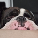 avatar ❀𝐒𝐚𝐥𝐳𝐠ȗ𝐫𝐤𝐜𝐡𝐞𝐧✿