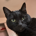 avatar Big Daddy Conf