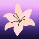 lilymaria