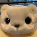 kazukiti.