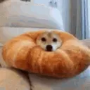 croissant_g