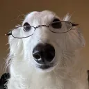 carpengizmat