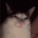 nouhi