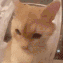 lukec76