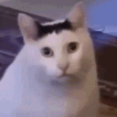 clarkyclarker