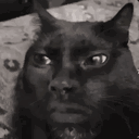 jrn__