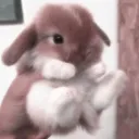 attract.mp4