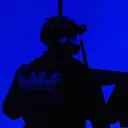arc_codex