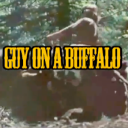 mkushner1204473's Avatar