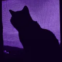 teccat