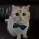 miguelsm__