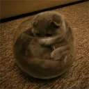 Аватар trimenisss