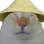 shunipupu