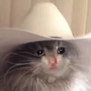 .moleh