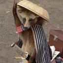 el_tanuki_samurai