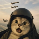 avatar Ratatouille/ᐠ ̥    ̣̮ ̥ ᐟ\ﾉ