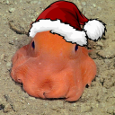 avatar Mr. Deceptive