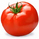 tlsanz