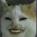 ibl4ck avatar