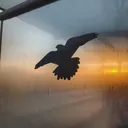 bilineargraph