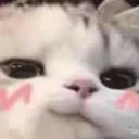 gabot_fps