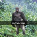 jay_ii_times
