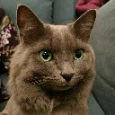 zearoh
