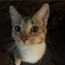 dk6452#6022's avatar