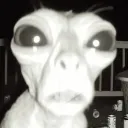 andy_two