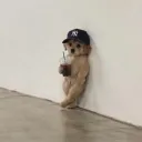 skaterboiicmf