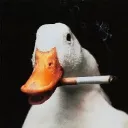 walspuarbau