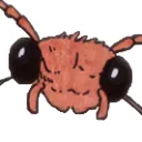 Cserebogár