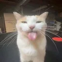 coffeemanu