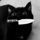 _._nobody_._