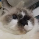 lilkykunnn