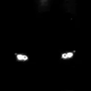 avatar sxd